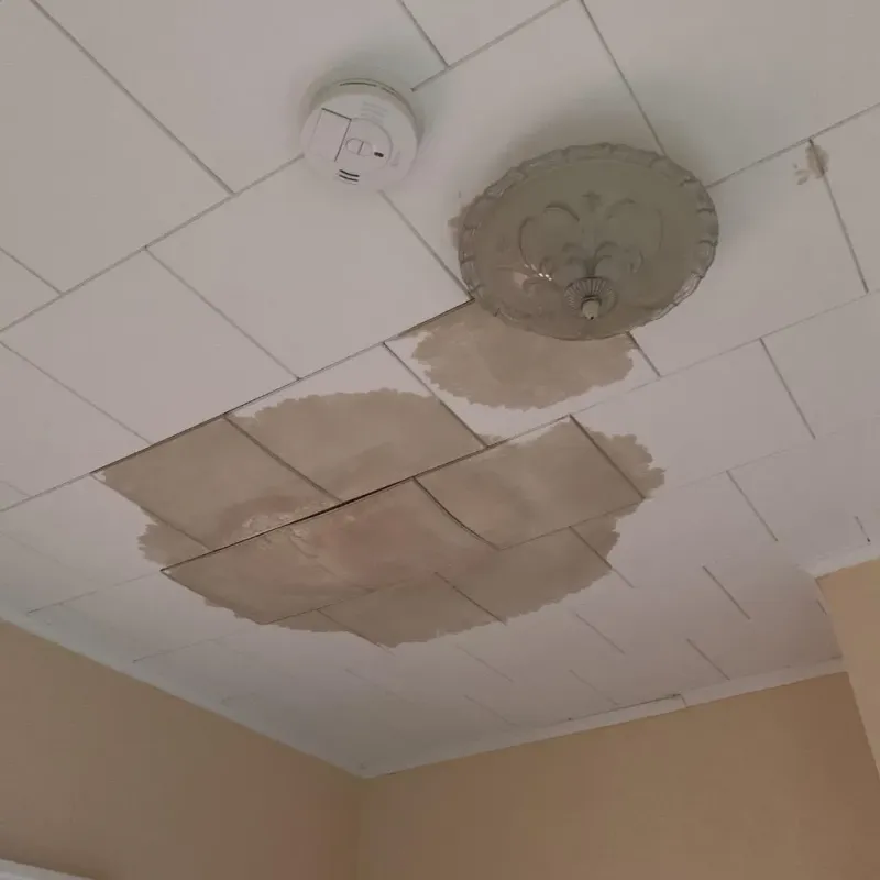 Ceiling Water Damage Repair in Dublin, NH