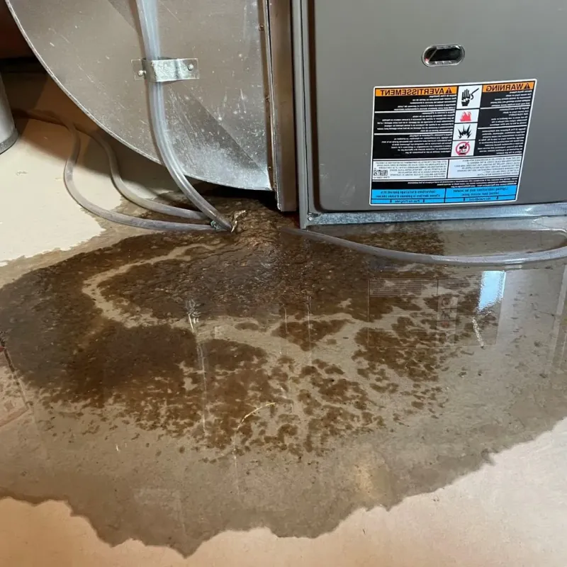 Pipe Burst and Leak Restoration in Dublin, NH